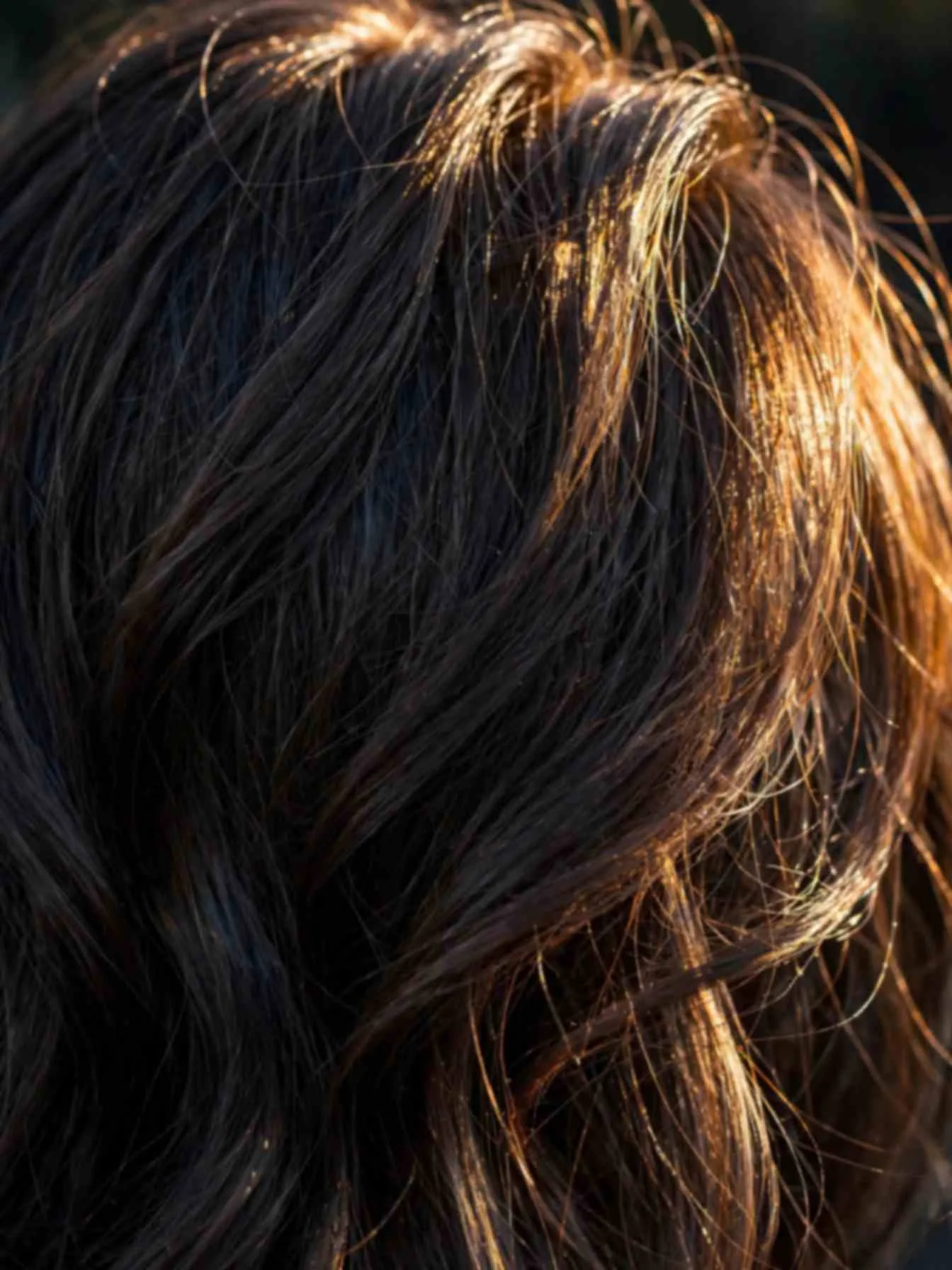 Glossy cool brunette hair catching golden light