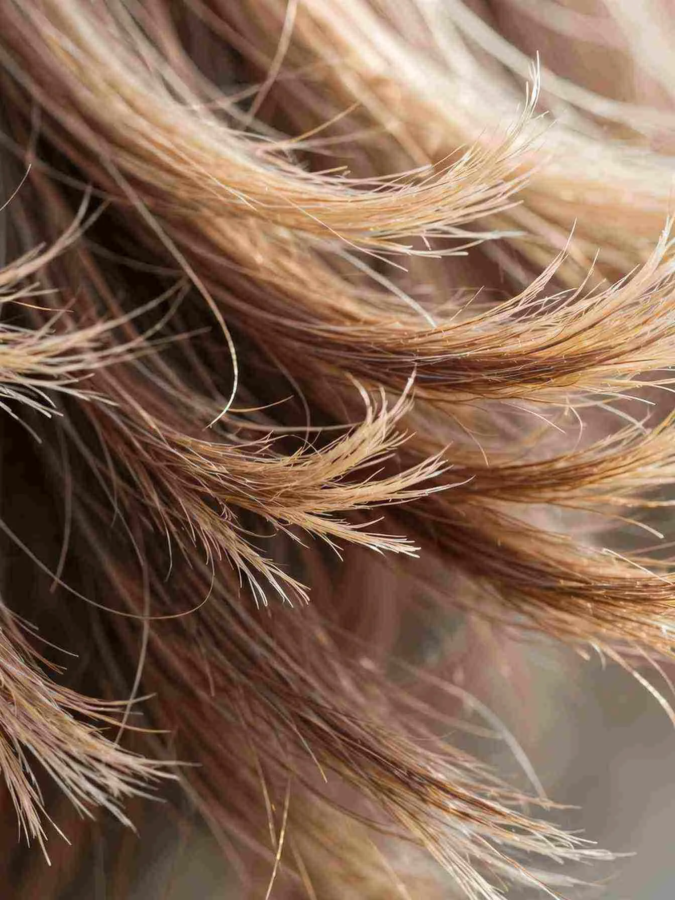 Close-up of wispy feathered bob ends